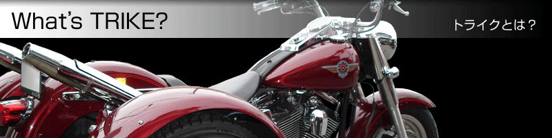 �v�������f���@�s�q�h�j�d�H/�g���C�N�Ƃ́H